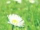 一眼就吸引人的網(wǎng)名(一眼就吸引人的網(wǎng)名帶符號(hào))