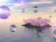 300042朗科科技(300042朗科科技千股千評(píng))