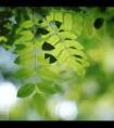 天干地支紀(jì)年對照表(天干地支紀(jì)年法對照表)