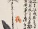 后天屬相兔準(屬兔后天的運勢)