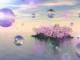 伏天是什么時候開始的2021(伏天是什么時候開始的2021幾點(diǎn))
